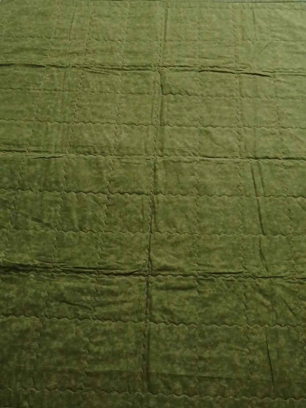 Homemade Botanical Quilt - Picture 15 of 16